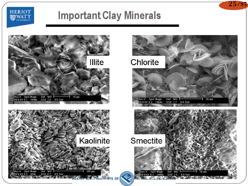 Important Clay Minerals Chlorite 25/85